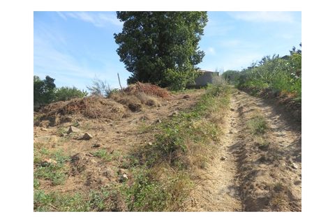 Helårsgrund i Viseu, Viseu, Viseu - € 35.000 | Ref: LMG_3244 - N - foto 3