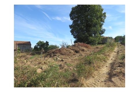 Helårsgrund i Viseu, Viseu, Viseu - € 35.000 | Ref: LMG_3244 - N - foto 5