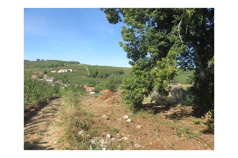 Helårsgrund i Viseu, Viseu, Viseu - € 35.000 | Ref: LMG_3244 - N - foto 8