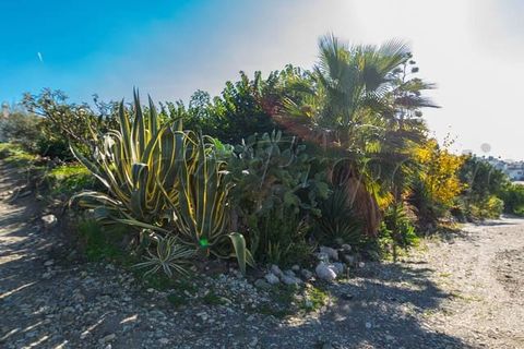 Helårsgrund i Torrox Costa, Malaga, Torrox Costa - € 1.545.000 | Ref: TP065 - foto 1