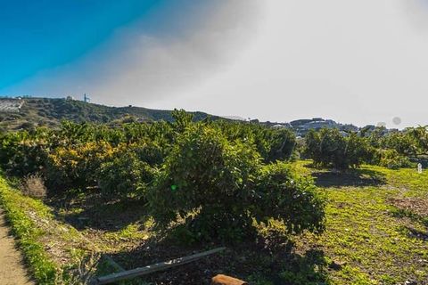 Helårsgrund i Torrox Costa, Malaga, Torrox Costa - € 1.545.000 | Ref: TP065 - foto 8