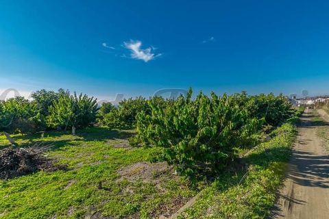 Helårsgrund i Torrox Costa, Malaga, Torrox Costa - € 1.545.000 | Ref: TP065 - foto 9