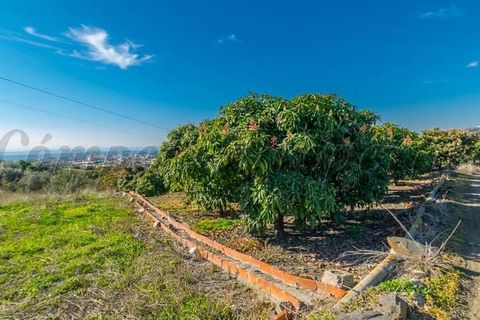 Helårsgrund i Torrox Costa, Malaga, Torrox Costa - € 1.545.000 | Ref: TP065 - foto 11