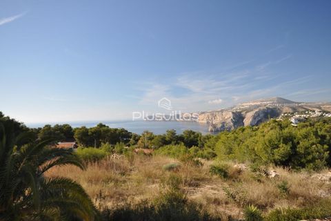 Helårsgrund i Javea, Alicante, Javea - € 1.950.000 | Ref: P28 - foto 6