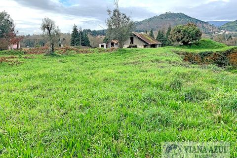 Helårsgrund i Ponte de Lima, Viana do Castelo, Ponte de Lima - € 290.000 | Ref: 1746 - foto 5