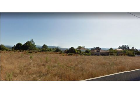 Helårsgrund i Macinhata do Vouga, Aveiro, Macinhata do Vouga - € 102.000 | Ref: TER_443 - foto 3