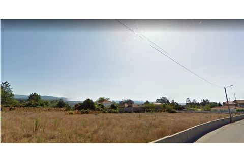Helårsgrund i Macinhata do Vouga, Aveiro, Macinhata do Vouga - € 102.000 | Ref: TER_443 - foto 5