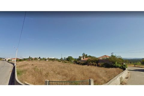 Helårsgrund i Macinhata do Vouga, Aveiro, Macinhata do Vouga - € 102.000 | Ref: TER_443 - foto 6