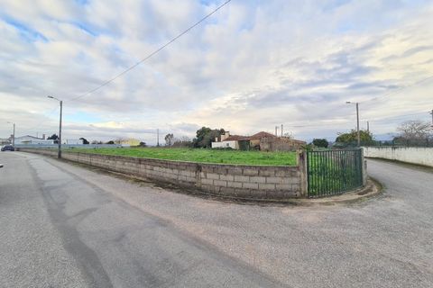 Helårsgrund i Macinhata do Vouga, Aveiro, Macinhata do Vouga - € 102.000 | Ref: TER_443 - foto 7