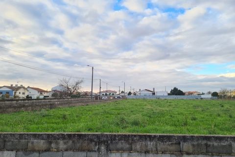 Helårsgrund i Macinhata do Vouga, Aveiro, Macinhata do Vouga - € 102.000 | Ref: TER_443 - foto 8