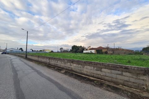 Helårsgrund i Macinhata do Vouga, Aveiro, Macinhata do Vouga - € 102.000 | Ref: TER_443 - foto 9