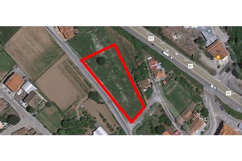 Helårsgrund i Macinhata do Vouga, Aveiro, Macinhata do Vouga - € 102.000 | Ref: TER_443 - foto 10