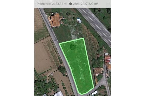 Helårsgrund i Macinhata do Vouga, Aveiro, Macinhata do Vouga - € 102.000 | Ref: TER_443 - foto 11