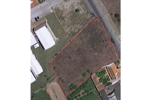 Helårsgrund i Agueda, Aveiro, Agueda - € 180.000 | Ref: MU0043 - foto 6
