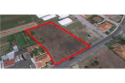 Helårsgrund i Agueda, Aveiro, Agueda - € 180.000 | Ref: MU0043 - foto 7