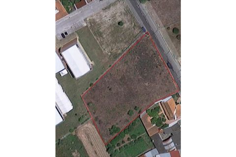 Helårsgrund i Agueda, Aveiro, Agueda - € 180.000 | Ref: MU0043 - foto 13