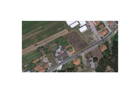 Helårsgrund i Agueda, Aveiro, Agueda - € 180.000 | Ref: MU0043 - foto 15