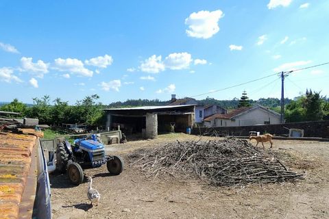 Gård i Agueda, Aveiro, Agueda - € 90 000 | Ref: MU0045 - foto 6