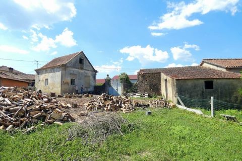 Gård i Agueda, Aveiro, Agueda - € 90 000 | Ref: MU0045 - foto 7