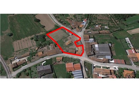 Gård i Agueda, Aveiro, Agueda - € 90 000 | Ref: MU0045 - foto 30