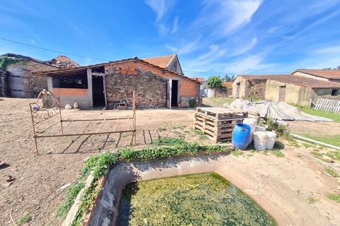 Gård i Agueda, Aveiro, Agueda - € 90 000 | Ref: MU0045 - foto 13
