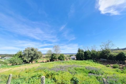 Gård i Agueda, Aveiro, Agueda - € 90 000 | Ref: MU0045 - foto 14
