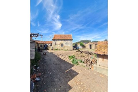 Gård i Agueda, Aveiro, Agueda - € 90 000 | Ref: MU0045 - foto 16
