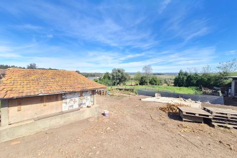 Gård i Agueda, Aveiro, Agueda - € 90 000 | Ref: MU0045 - foto 17