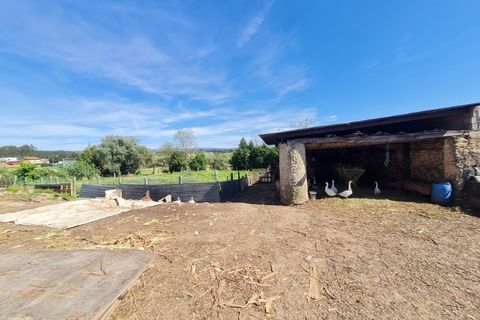 Gård i Agueda, Aveiro, Agueda - € 90 000 | Ref: MU0045 - foto 18