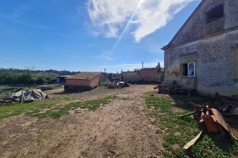 Gård i Agueda, Aveiro, Agueda - € 90 000 | Ref: MU0045 - foto 21