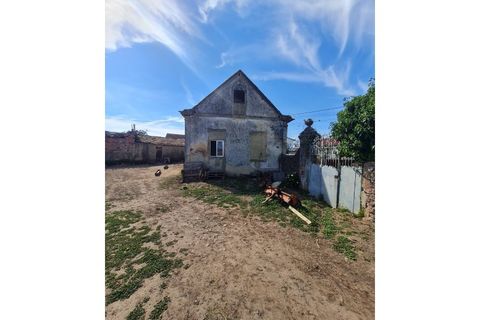 Gård i Agueda, Aveiro, Agueda - € 90 000 | Ref: MU0045 - foto 23