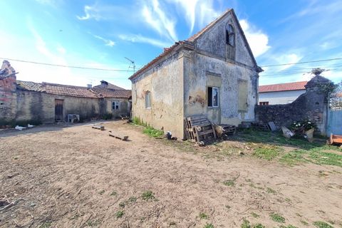 Gård i Agueda, Aveiro, Agueda - € 90 000 | Ref: MU0045 - foto 25