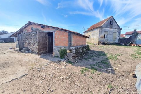 Gård i Agueda, Aveiro, Agueda - € 90 000 | Ref: MU0045 - foto 26