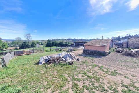 Gård i Agueda, Aveiro, Agueda - € 90 000 | Ref: MU0045 - foto 27