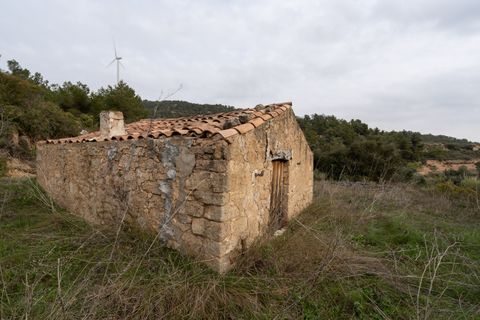 Finca i Bot, Tarragona, Bot - € 65.000 | Ref: 488 - foto 12
