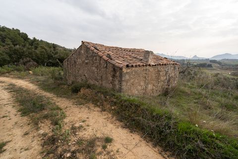 Finca i Bot, Tarragona, Bot - € 65.000 | Ref: 488 - foto 11