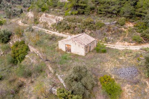 Finca i Bot, Tarragona, Bot - € 65.000 | Ref: 488 - foto 6