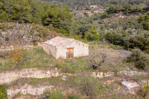 Finca i Bot, Tarragona, Bot - € 65.000 | Ref: 488 - foto 2