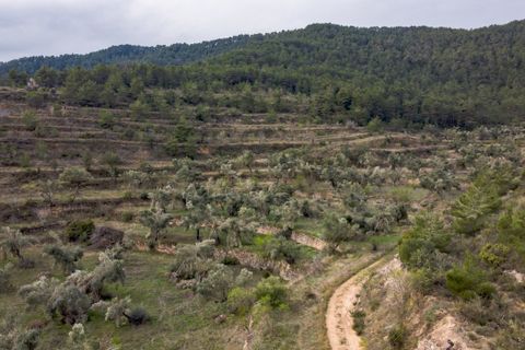 Finca i Bot, Tarragona, Bot - € 65.000 | Ref: 488 - foto 8