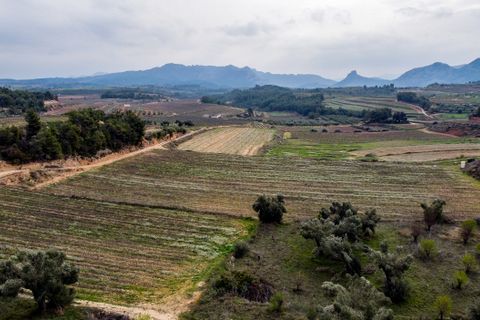 Finca i Bot, Tarragona, Bot - € 65.000 | Ref: 488 - foto 9