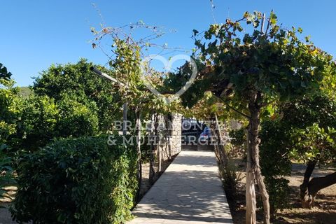 Farm i San Antonio De Portmany, Ibiza - foto 1