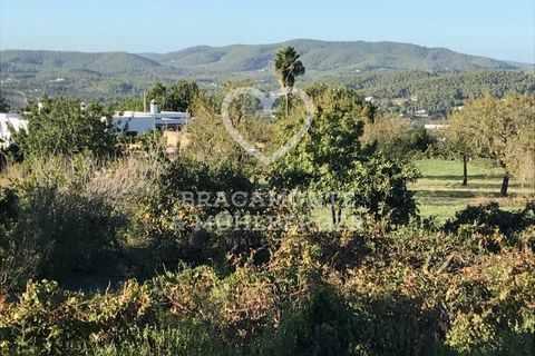 Farm i San Antonio De Portmany, Ibiza - foto 3