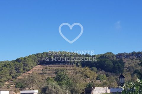 Farm i San Antonio De Portmany, Ibiza - foto 4