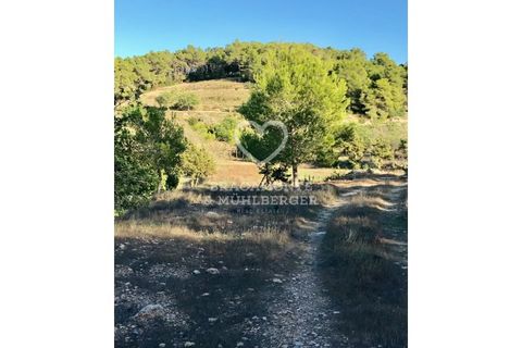 Farm i San Antonio De Portmany, Ibiza - foto 5