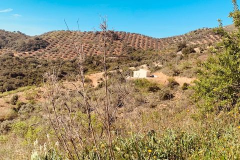 Landejendom i Colmenar, Malaga, Colmenar - € 79.950 | Ref: ID3809 - foto 36