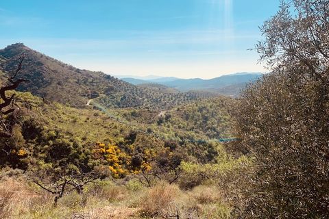 Landejendom i Colmenar, Malaga, Colmenar - € 79.950 | Ref: ID3809 - foto 32