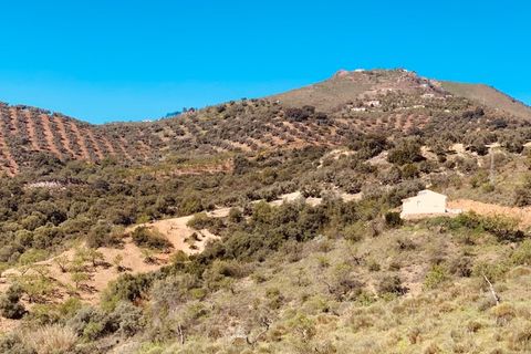 Landejendom i Colmenar, Malaga, Colmenar - € 79.950 | Ref: ID3809 - foto 33