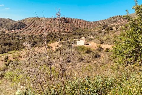 Landejendom i Colmenar, Malaga, Colmenar - € 79.950 | Ref: ID3809 - foto 38