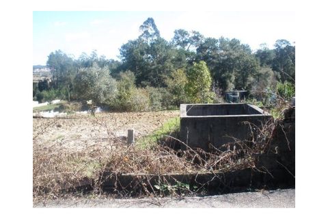 Tomt i Monte Real, Leiria, Monte Real - € 55 000 | Ref: mg1420 - foto 2