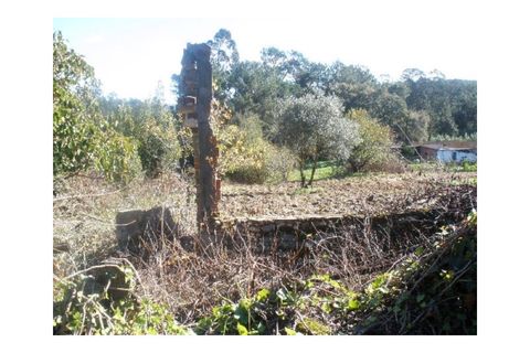 Tomt i Monte Real, Leiria, Monte Real - € 55 000 | Ref: mg1420 - foto 3